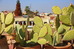 Thumbnail 20
