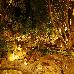 Thumbnail 22