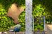 Thumbnail 16