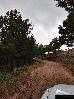 Thumbnail 20