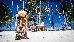 Thumbnail 66