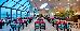 Thumbnail 35