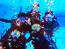 Thumbnail 85