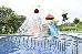 Thumbnail 14