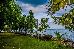 Thumbnail 33