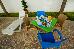 Thumbnail 25