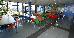 Thumbnail 37