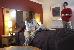 Thumbnail 20