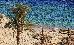 Thumbnail 236