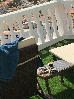 Thumbnail 20