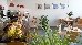 Thumbnail 16