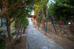 Sunny Days photo 2