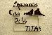 Thumbnail 21