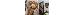 Thumbnail 33