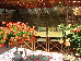 Thumbnail 23