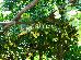 Thumbnail 33