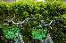 Thumbnail 68