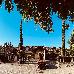 Thumbnail 169
