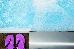 Thumbnail 32