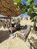 Thumbnail 123
