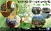 Thumbnail 20
