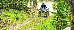 Thumbnail 43