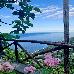 Thumbnail 27