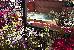 Thumbnail 45
