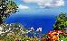 Thumbnail 37