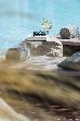 Thumbnail 124