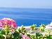 Thumbnail 62