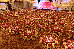 Thumbnail 17