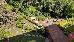 Thumbnail 91
