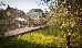 Thumbnail 202