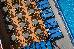 Thumbnail 56