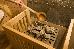 Thumbnail 40