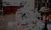 Thumbnail 45