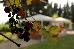 Thumbnail 49
