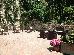 Thumbnail 23