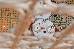 Thumbnail 44