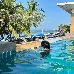 Thumbnail 21