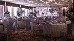 Thumbnail 22