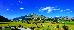 Thumbnail 51