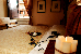 Thumbnail 21