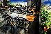 Thumbnail 102