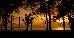 Thumbnail 76