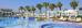 Thumbnail 445