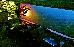 Thumbnail 51