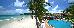 Thumbnail 30