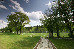 Thumbnail 15